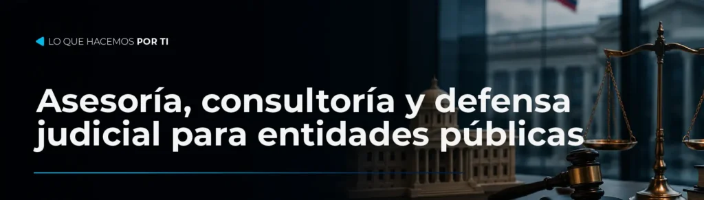 asesoría, consultoría, defensa, capacitación