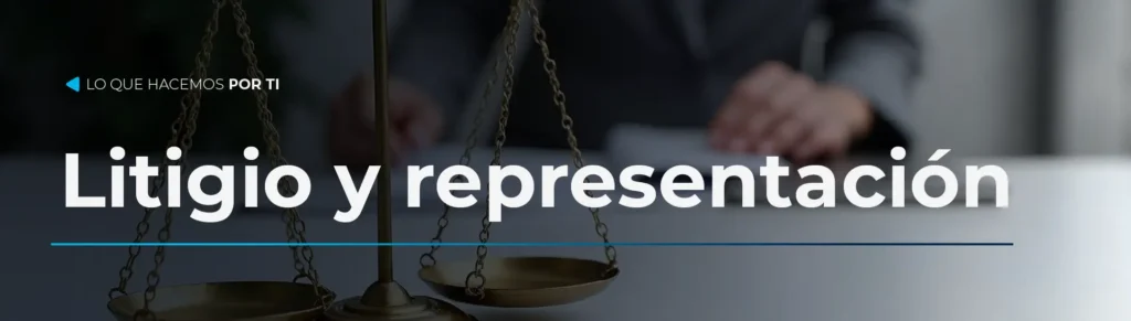 LITIGIO Y REPRESENTACION